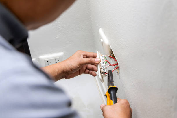 Best Residential Electrician Services  in Olivet, MI